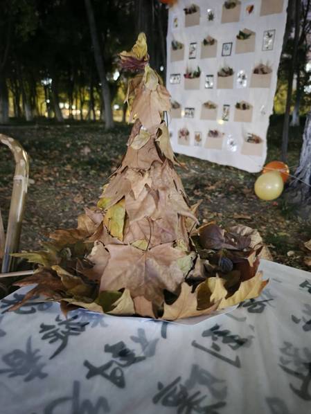 艺术学院秋日创意盛宴：与秋共舞...